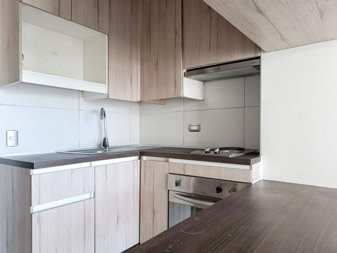 Leonor Cepeda 952 [296-1]