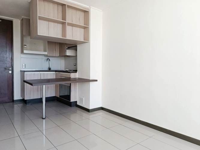 Leonor Cepeda 952 [296-1]