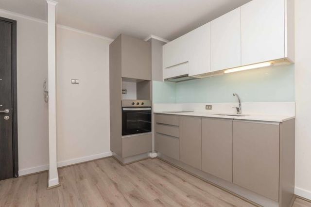 Argomedo 350 [1240-1]