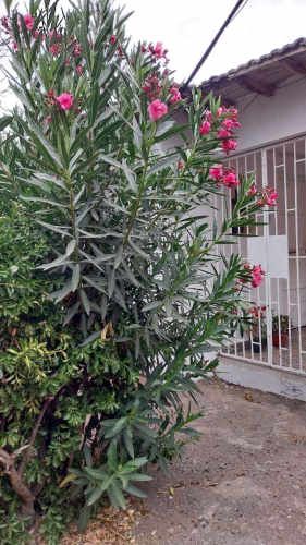 Casa con excelente distribución  (133890)