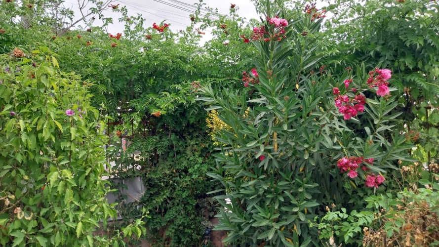 Casa con excelente Ubicación (133890)