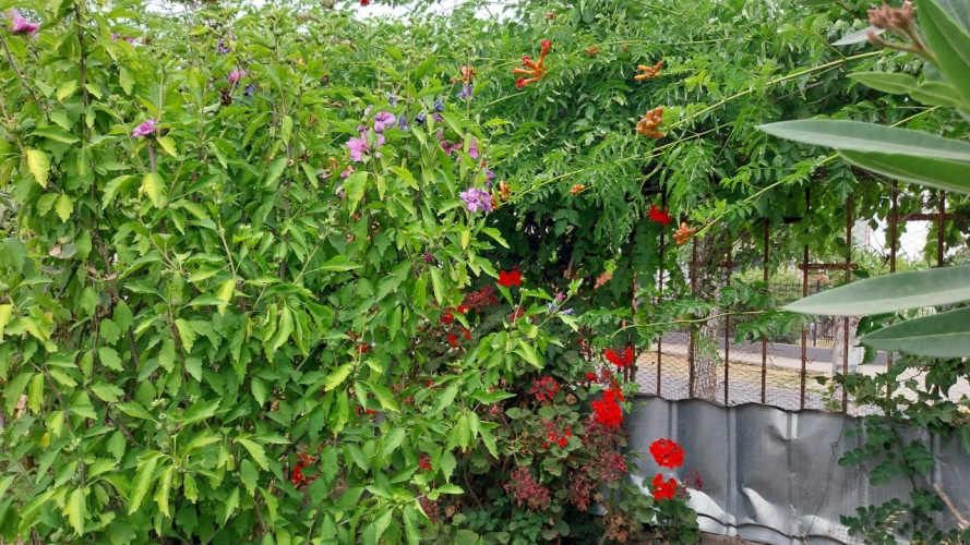 Casa con excelente Ubicación (133890)