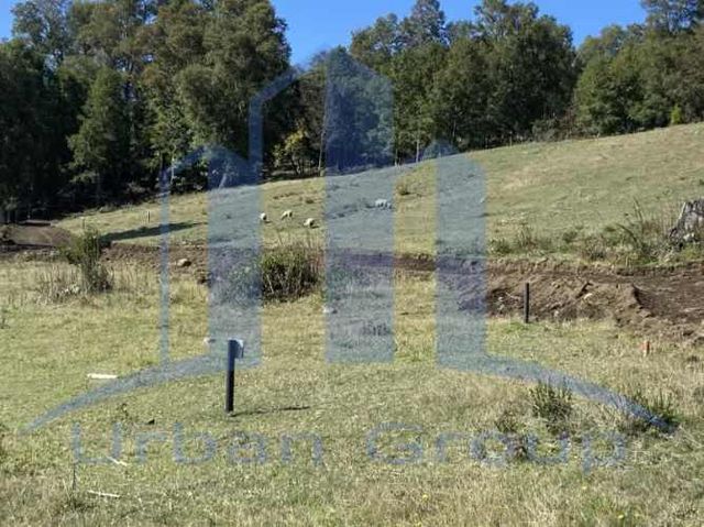 Parcela LAGO CALAFQUEN - CERRO PITREN - A 10 MIN PANGUIPULLI