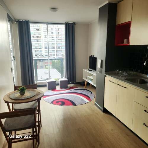 DEPARTAMENTO ROBERTO ESPINOZA 606