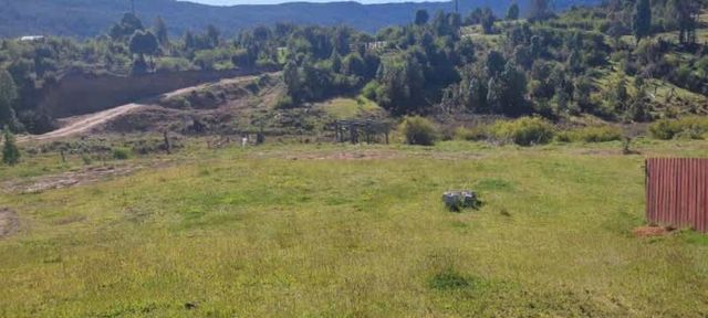 Parcela de 10 hectareas con casa