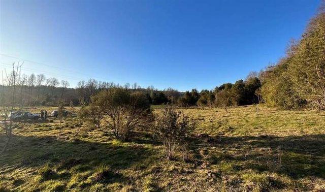 PARCELA EL MONJE PANGUIPULLI