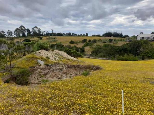 PARCELA SECTOR LOS CARDOS SAN JOSE