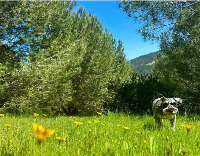 PARCELA j80 Camino a Llico