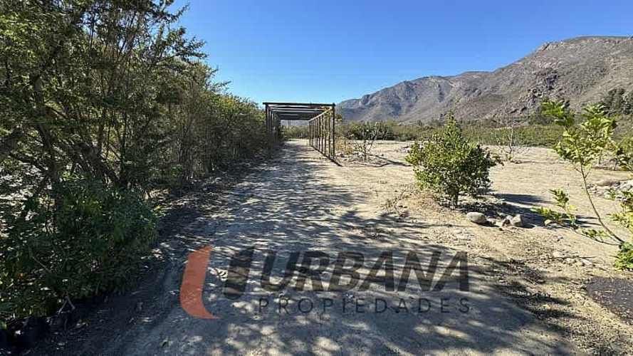 Parcela PARCELA IDEAL PARA PROYECTO EN EL MOLLE