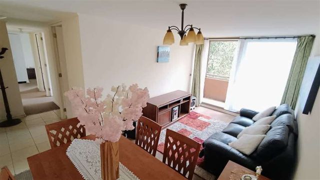 DEPARTAMENTO Bosque Ingles, Cerro San Roque