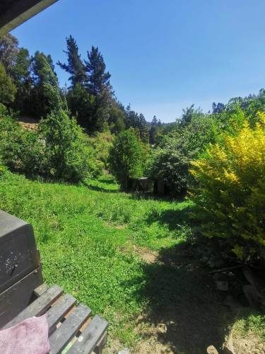  Excelente parcela Puente 4 3.500mts2 2 casas