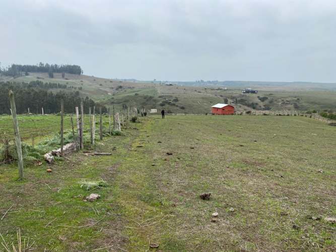PARCELA EN SAN ENRIQUE, SANTO DOMINGO V REGION