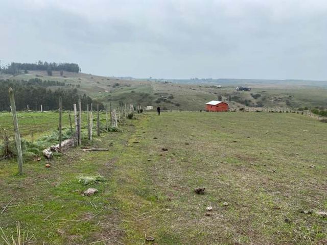 PARCELA EN SAN ENRIQUE, SANTO DOMINGO V REGION