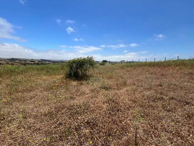 PARCELA EN SAN ENRIQUE, SANTO DOMINGO V REGION