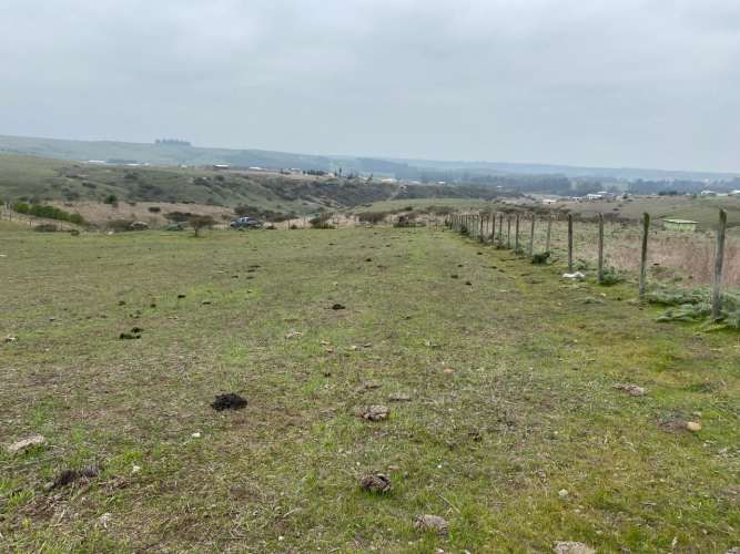 PARCELA EN SAN ENRIQUE, SANTO DOMINGO V REGION