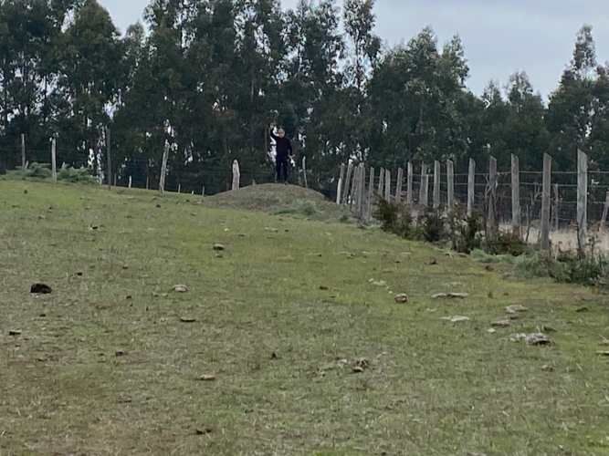 PARCELA EN SAN ENRIQUE, SANTO DOMINGO V REGION