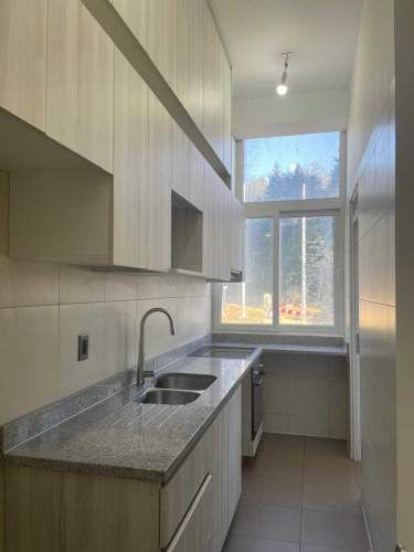 SIN PALABRAS: PRECIOSO  (134051)