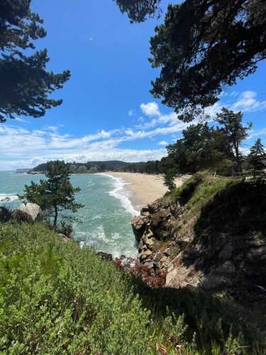 VENDO SITIO EN PINGUERAL (134060)