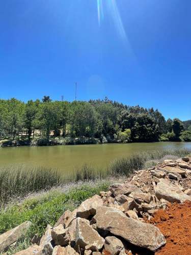 VENDO SITIO EN PINGUERAL (134060)