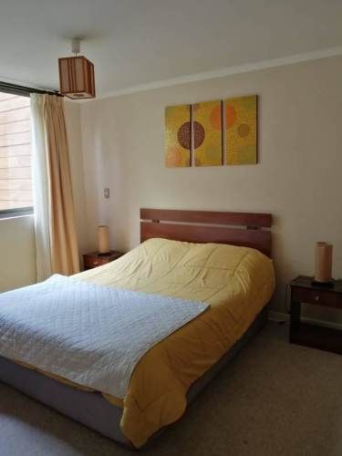 Hermoso departamento en Pucon