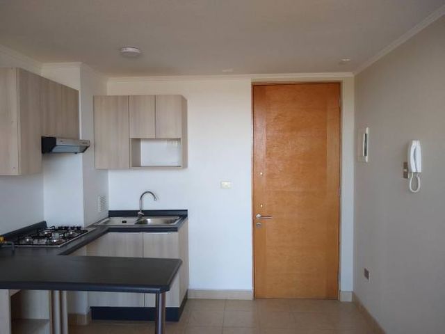 Arriendo Departamento 1D+1B Sin Estacionamiento // Vista Rio Bio-Bio