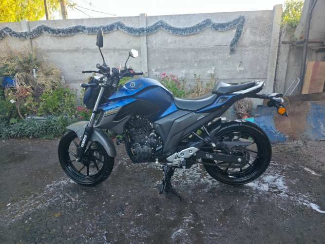 Yamaha FZ-250