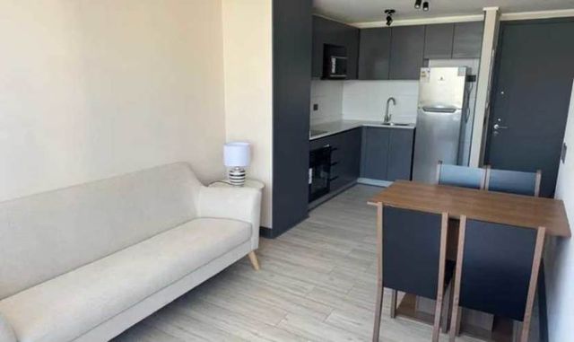 Moderno depto en ñuñoa (134119)