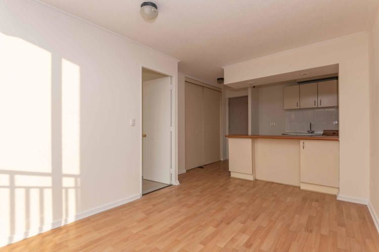 Moneda 1541 (1 Est ) [119-1]