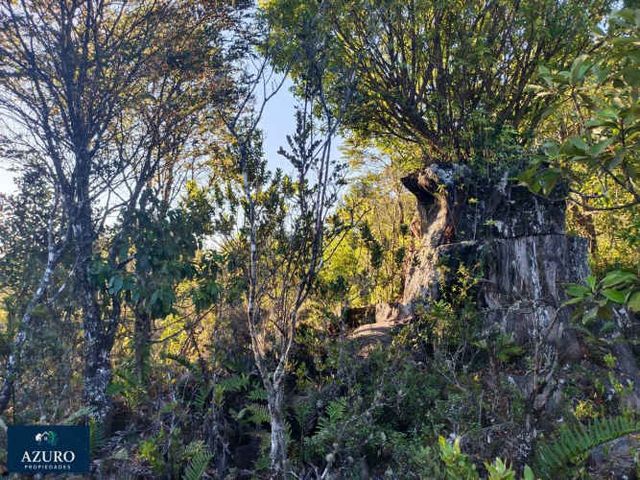 Parcela plana con camino, cercana a Pto Varas (134159)