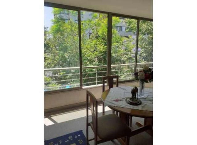 DEPARTAMENTO Luis Thayer Ojeda/Eleodoro   Yañez