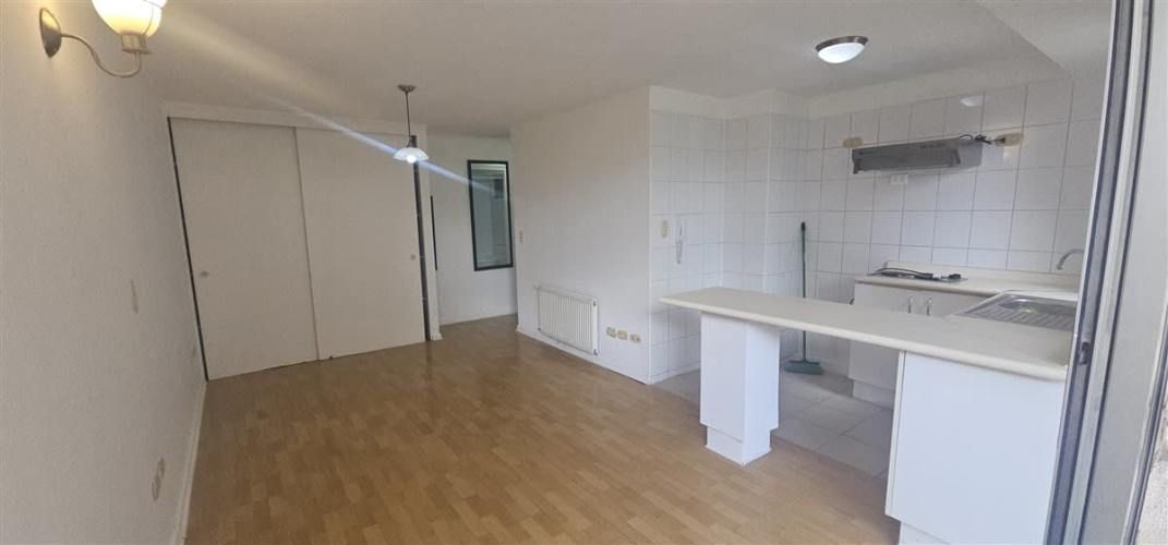 DEPARTAMENTO Barrio Universitario