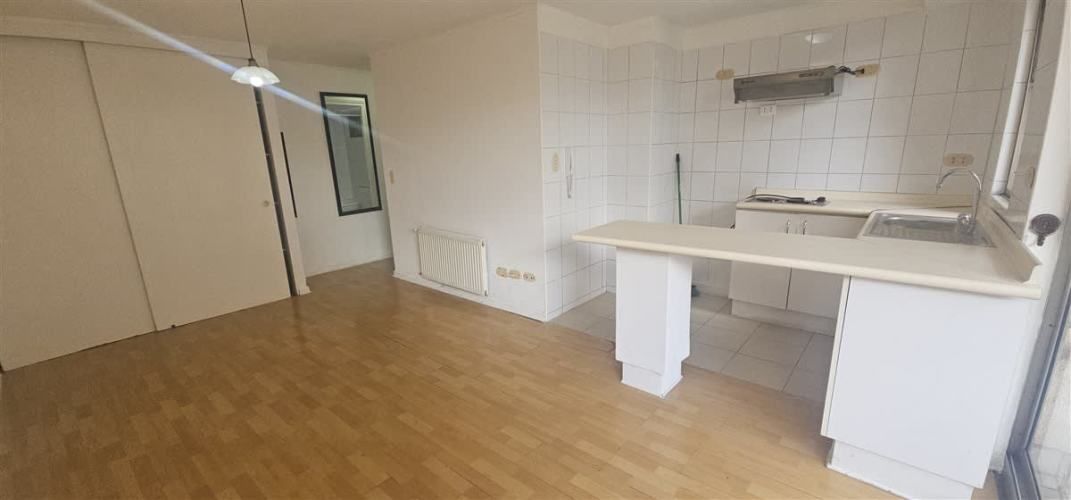 DEPARTAMENTO Barrio Universitario