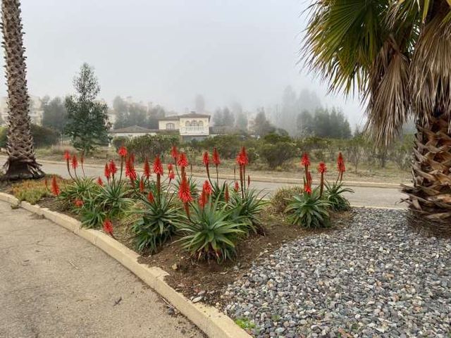 Terreno en condominio Santa Augusta de Quintay