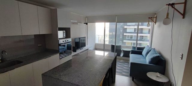 ARRIENDO DEPTO MARZO DICIEMBRE 2 DORM 2 BAÑOS