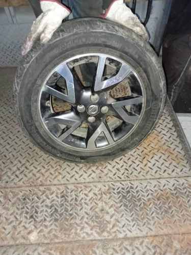 Ruedas variedades modelos