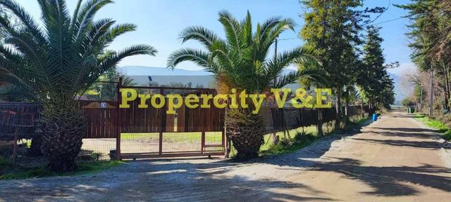 Baja su precio!¡Parcela en Batuco (134226)