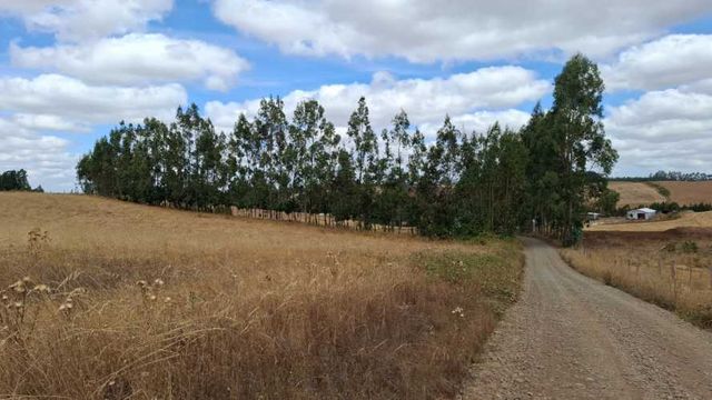 Vende Terreno indígena 20.000 m² Camino Comunidad 5 Manzanos