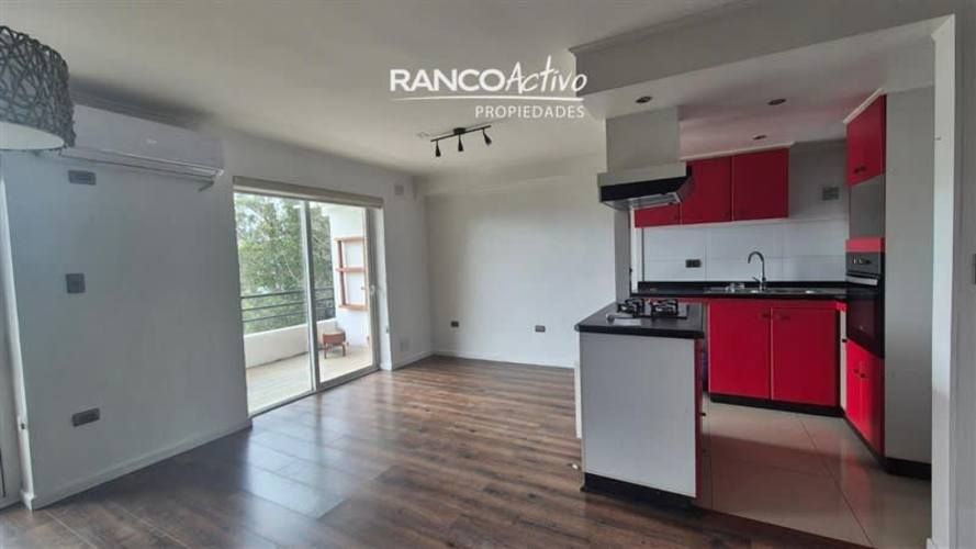 DEPARTAMENTO Isla teja