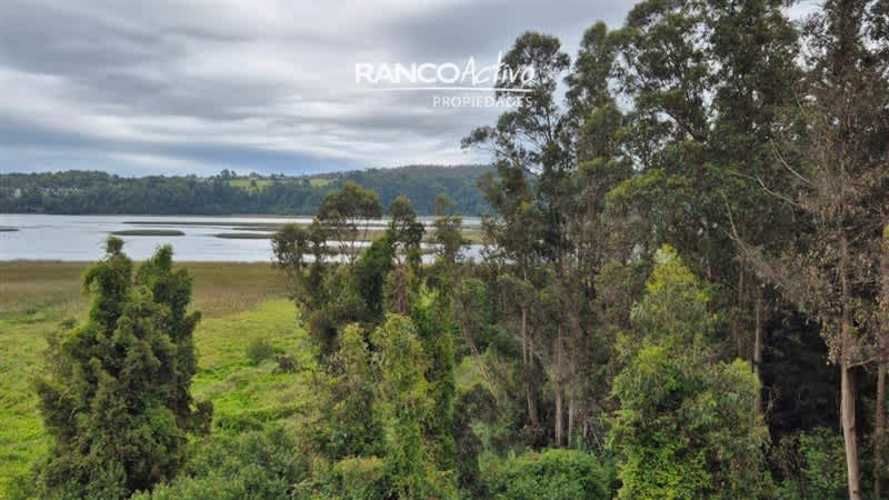 DEPARTAMENTO Isla teja