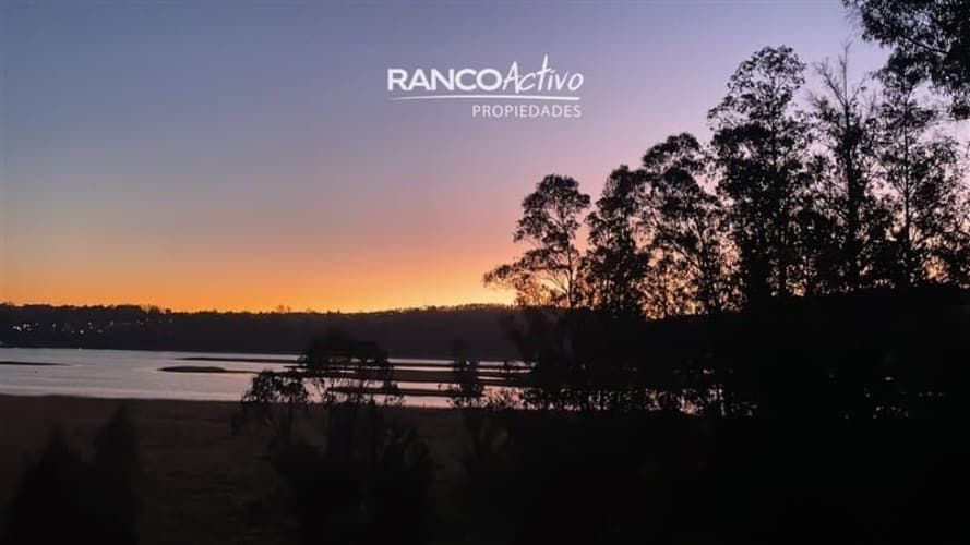 DEPARTAMENTO Isla teja