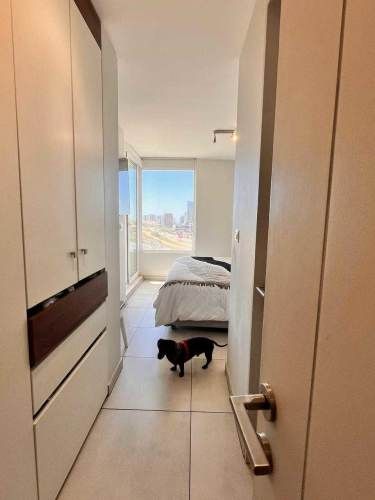 Oportunidad Venta Depto Reñaca Norte (134338)