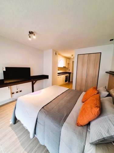 Departamento Monoambiente Amoblado Isla Teja  (134285)