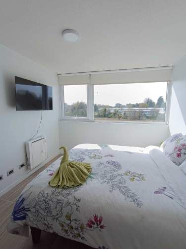 Monoambiente Smart con vista humedad (134283)