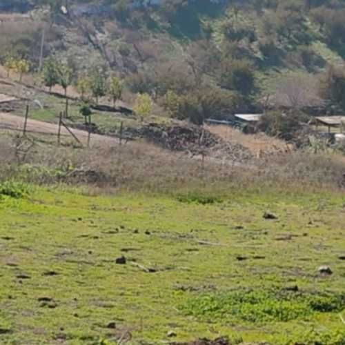 PARCELA Juan Ortega Baeza