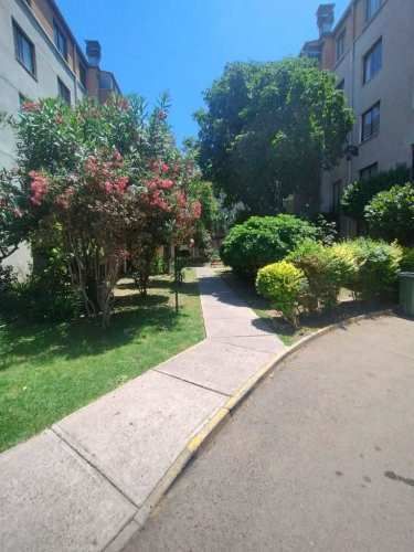 Departamento 1D-1B independencia OPORTUNIDAD