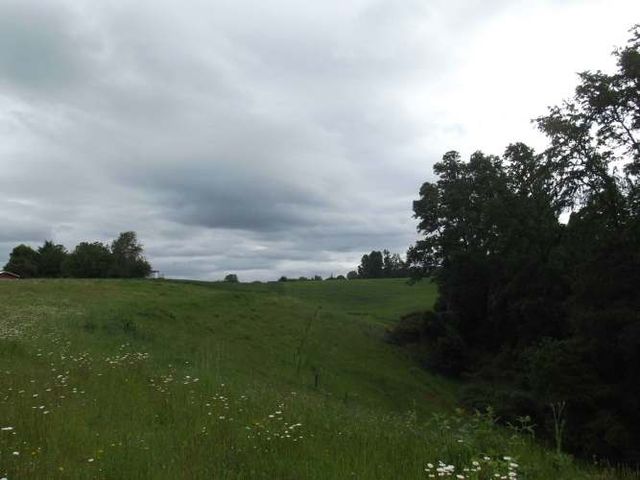 Parcelas en venta sector Huacahue (134435)