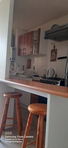 ARRIENDO DEPARTAMENTO AMOBLADO