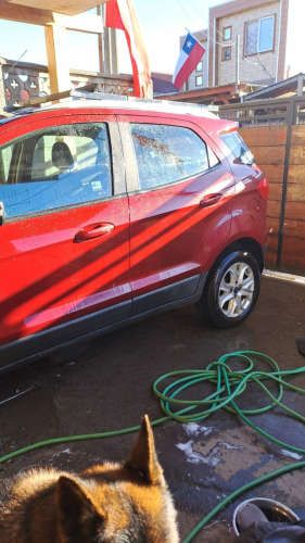 ford ecosport titanium 2017 motor 1.6sigma