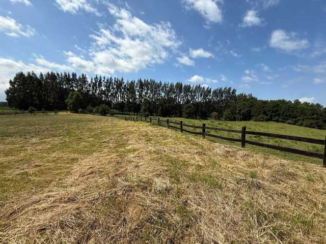 Parcela Cercada Sector Alucema Lago Ranco (134487)