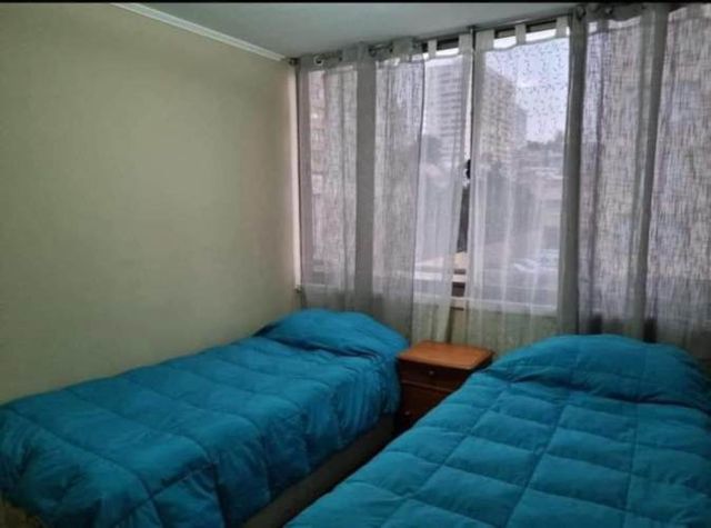 Gran Depto. por días Vacaciones y Año Nuevo